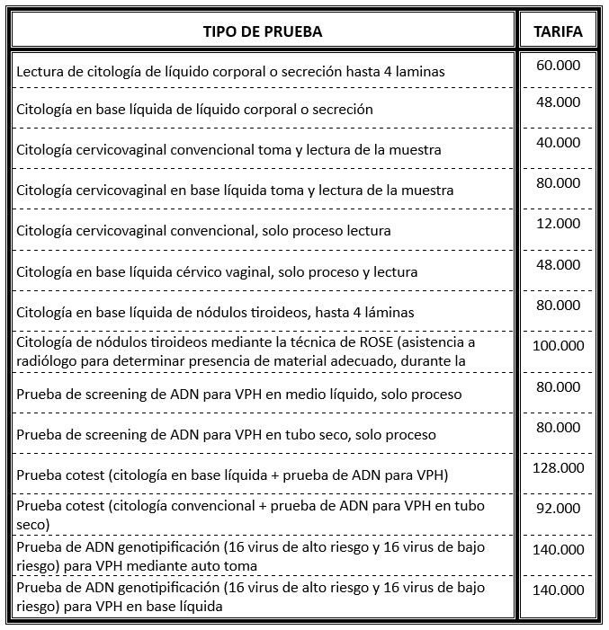 PRUEBAS